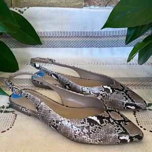 NEW Madden Girl Women’s Snake Animal Print Pointed Toe Slingback Flats, Size 6.5